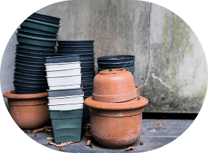 Pots/Containers