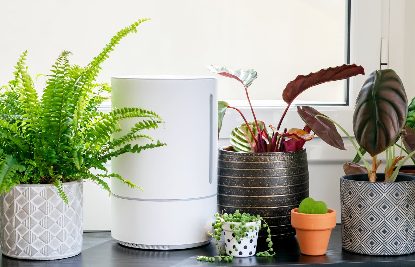 Maximizing Space With Smart Pots, Containers & Accessories